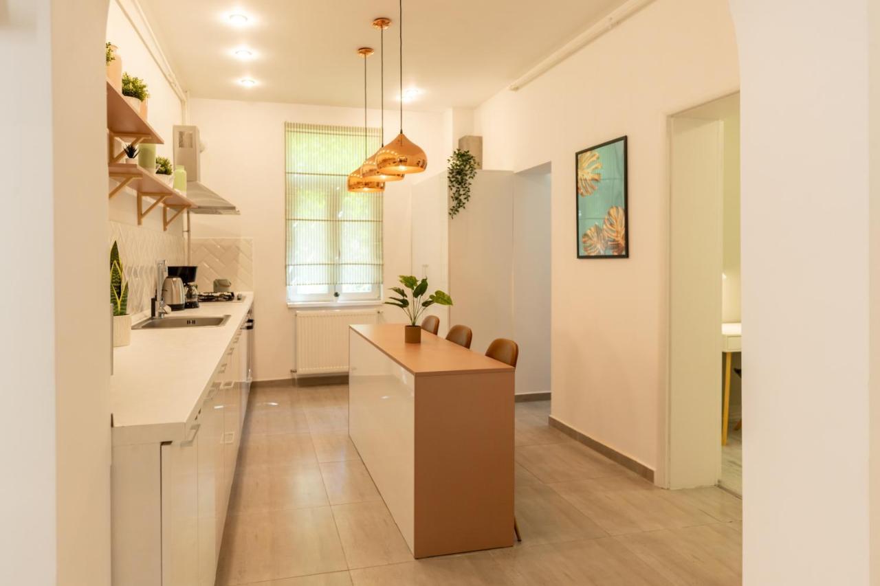 Ideal Stay: Spacious 2Br Apt Near Calea Victoriei Бухарест Экстерьер фото